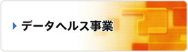 データヘルス事業